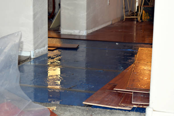 Professional Sewage Cleanup technician working in Collinsville, CT